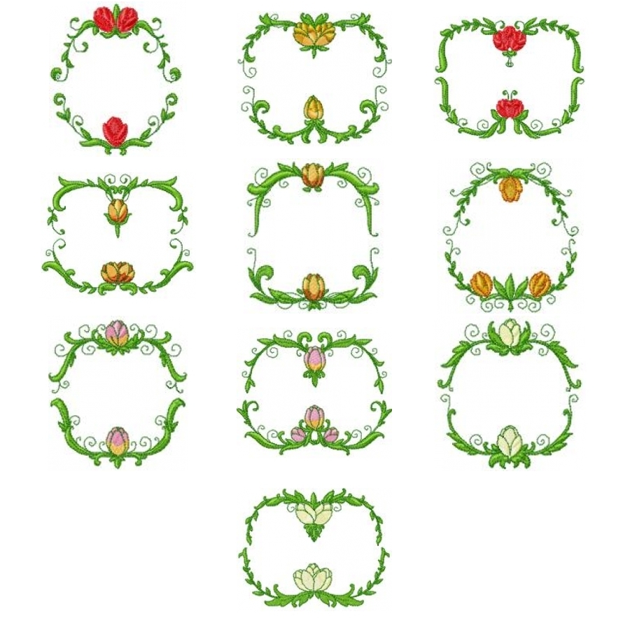 TULIP FRAMES 