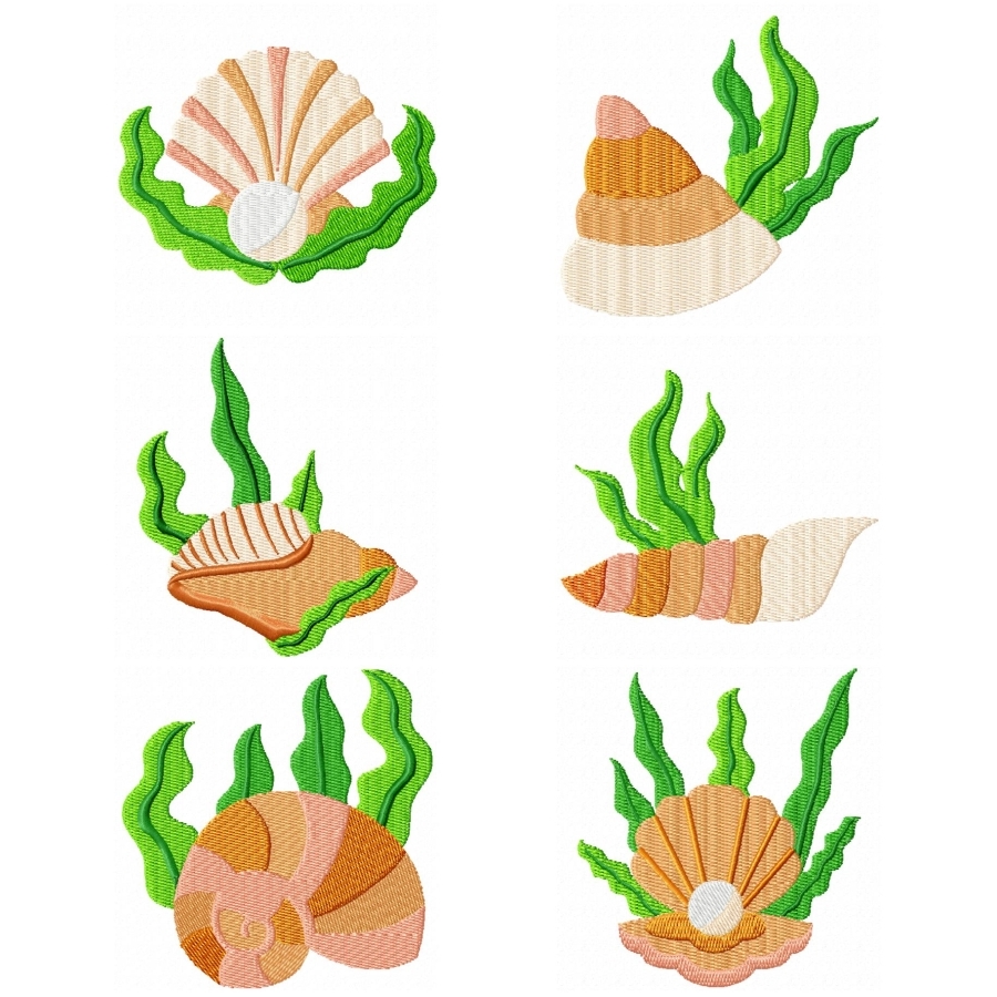 Seaweed and Shells