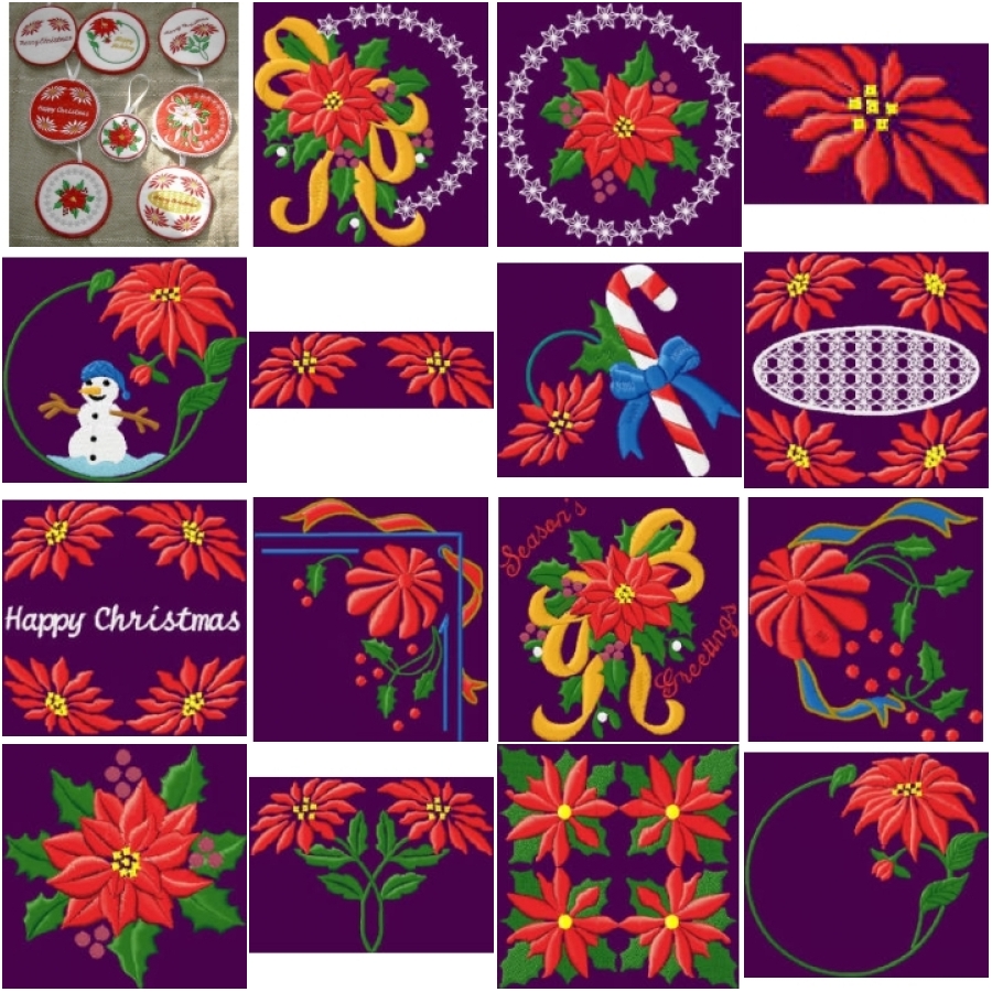 Poinsettia Pleasure