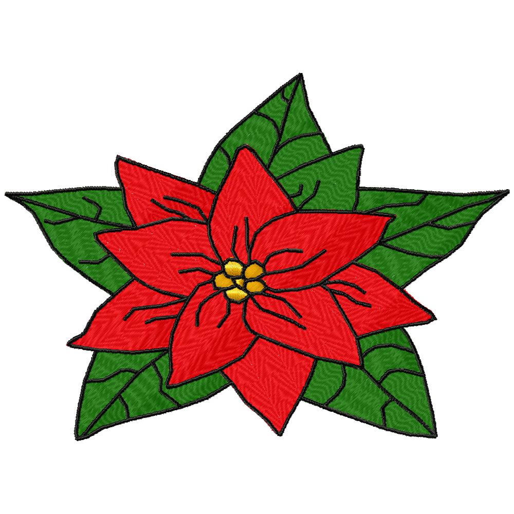 Poinsettias Galore-33