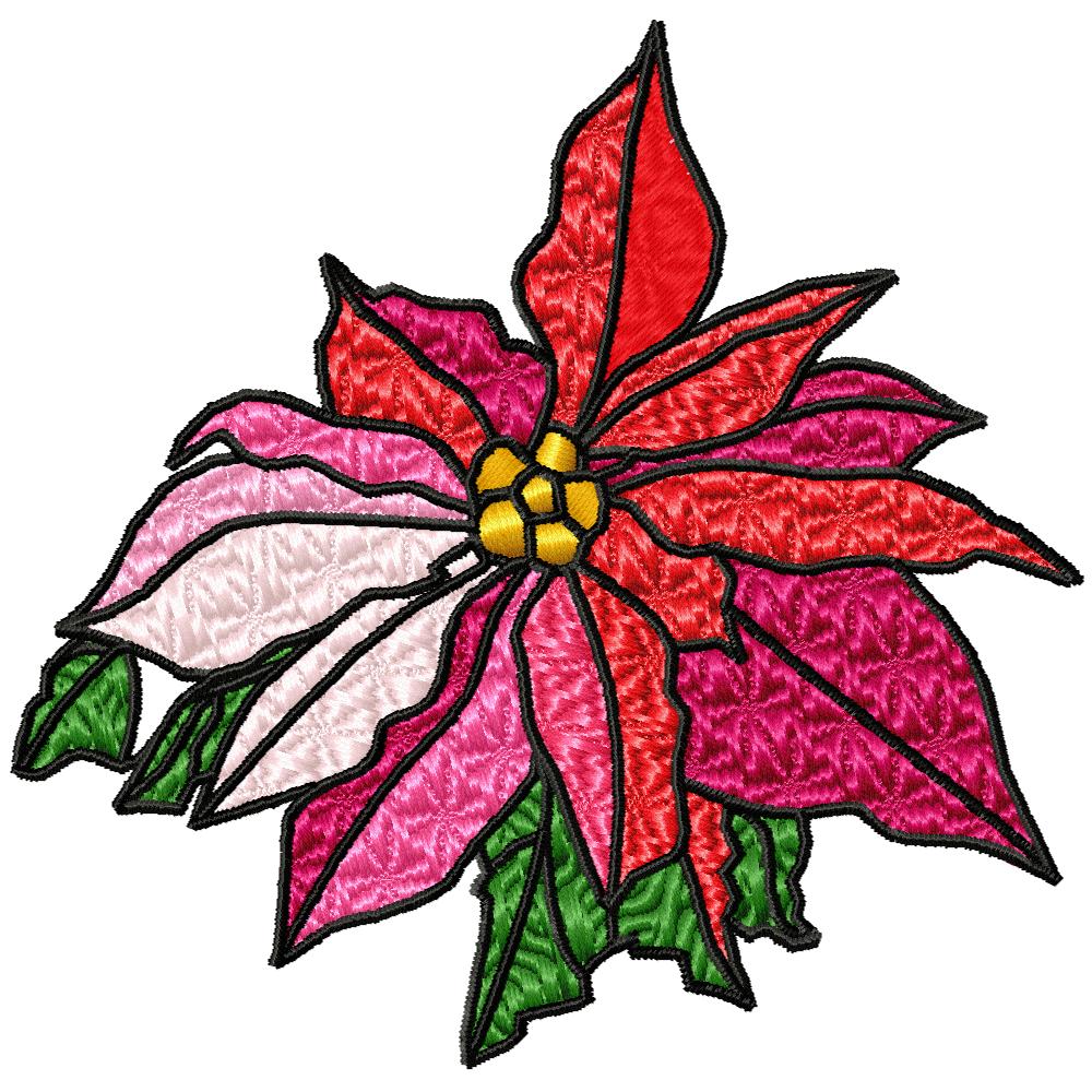 Poinsettias Galore-38