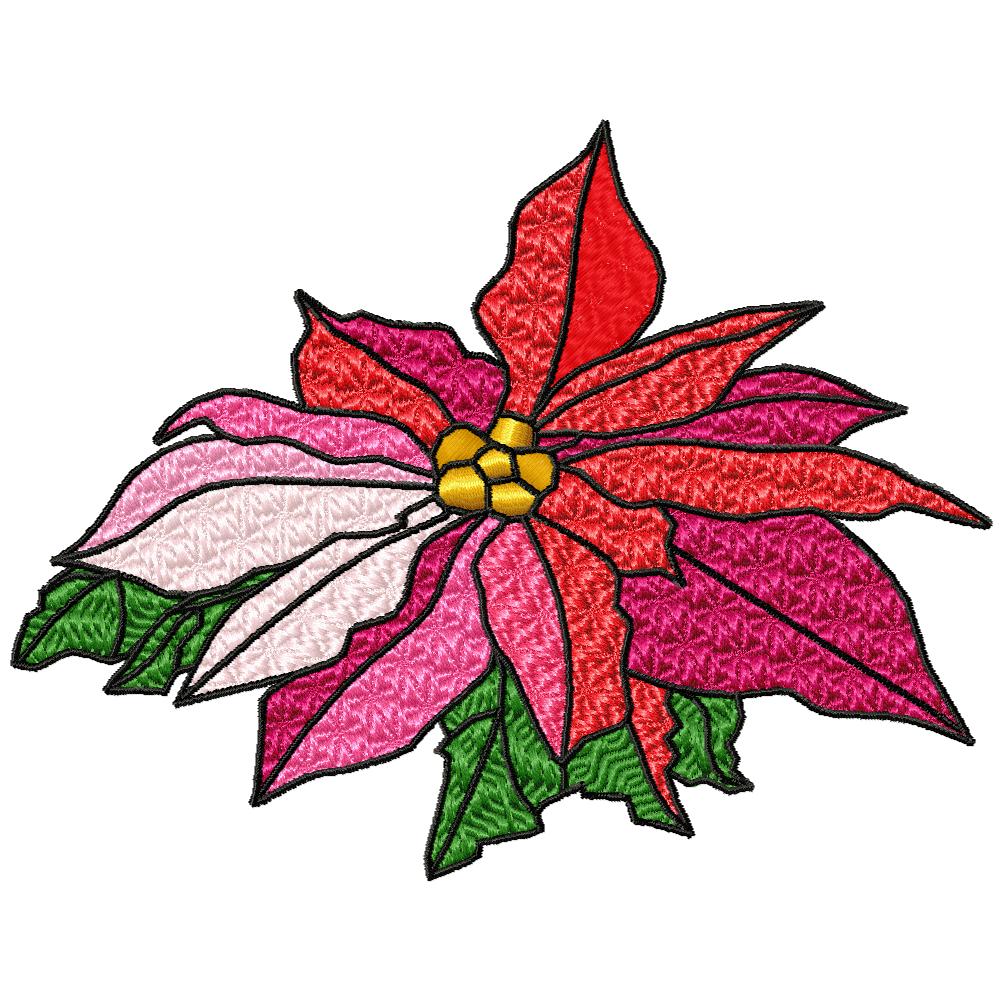 Poinsettias Galore-39