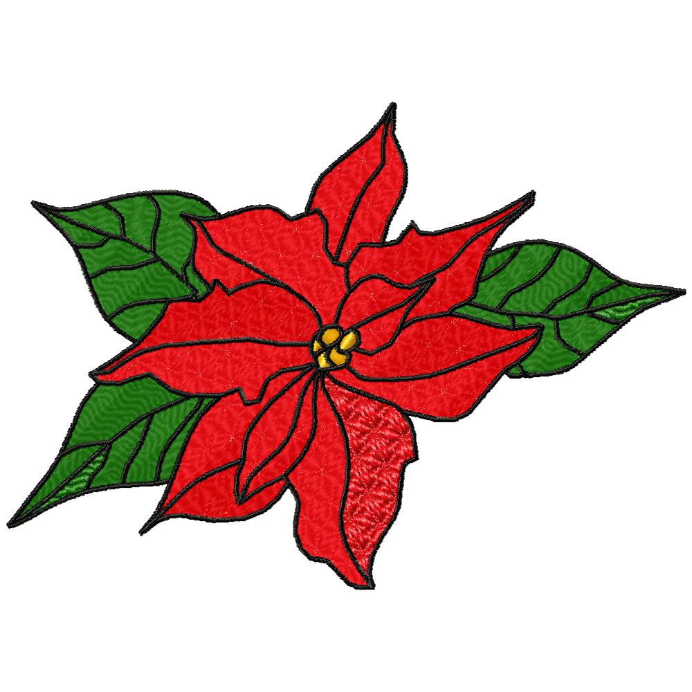 Poinsettias Galore-46