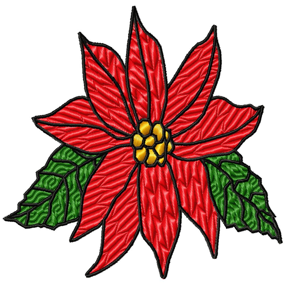 Poinsettias Galore-51