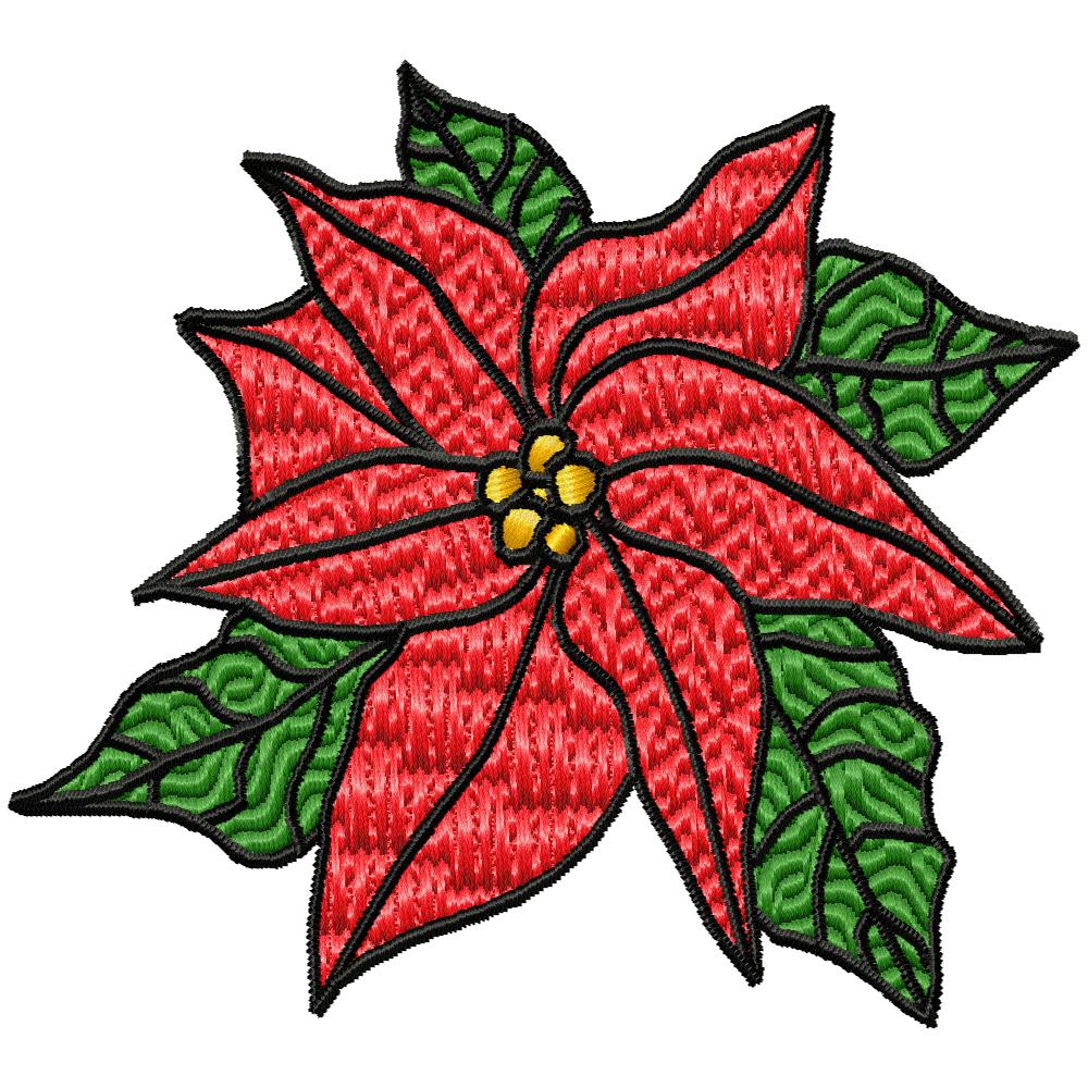 Poinsettias Galore-58