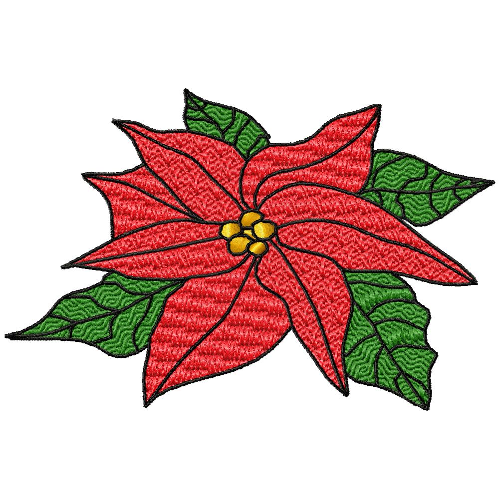 Poinsettias Galore-59