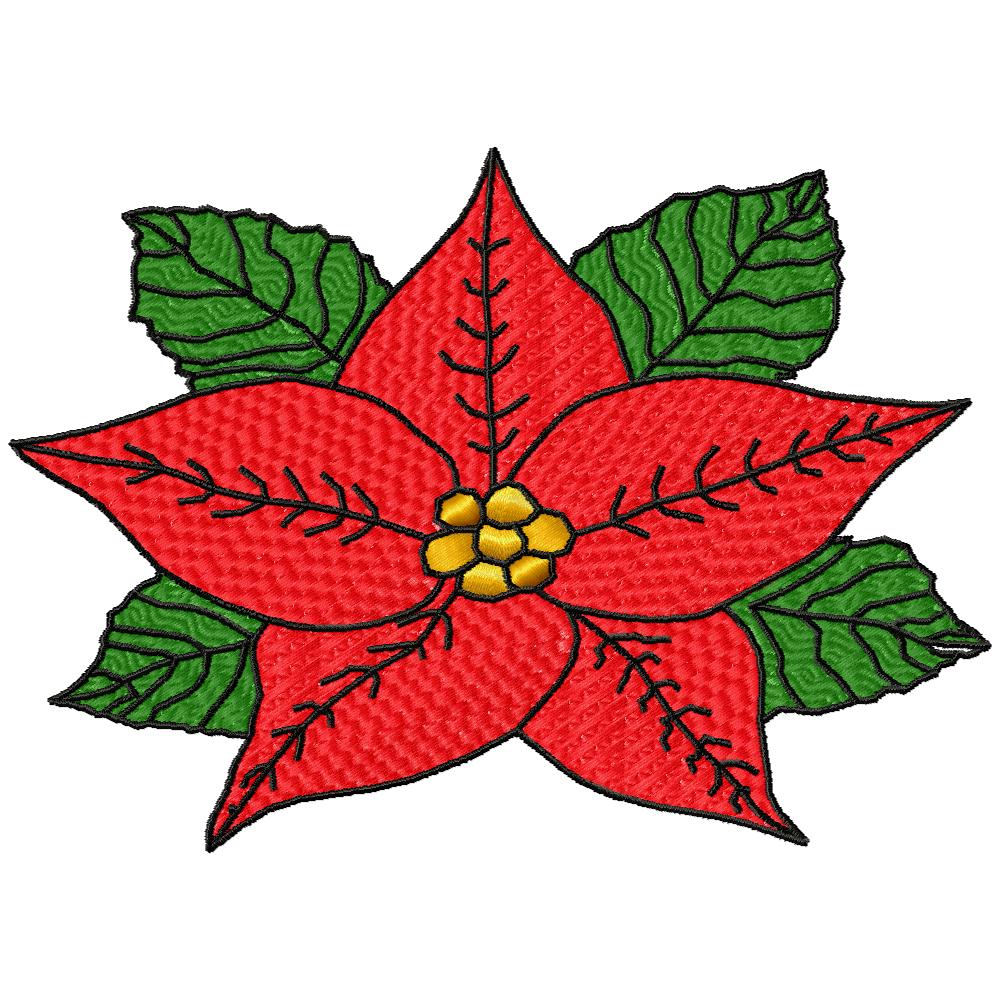 Poinsettias Galore-77