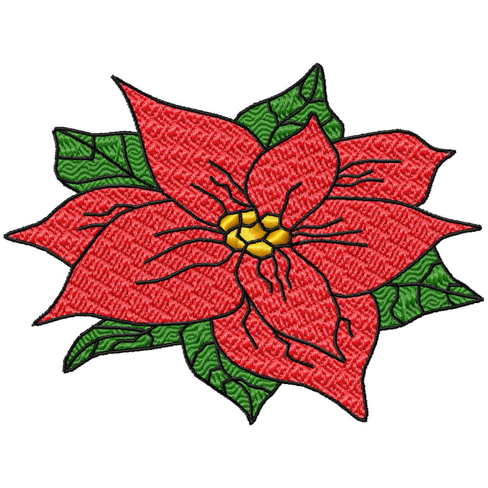 Poinsettias Galore-89