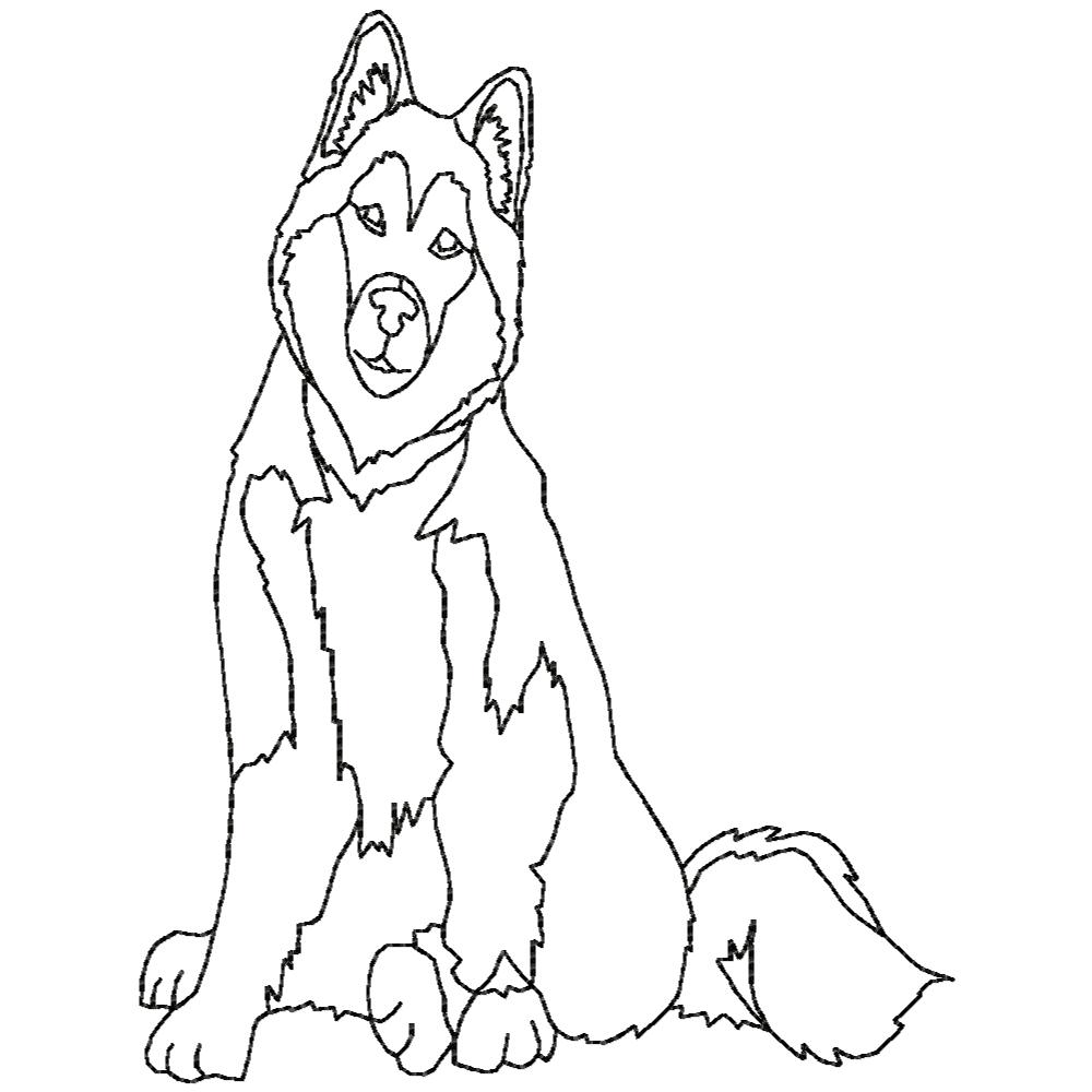 Woof from the North BW-4