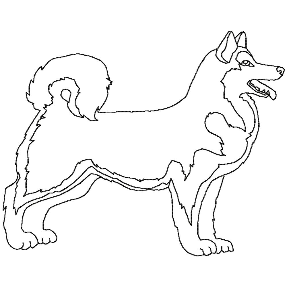 Woof from the North BW-8