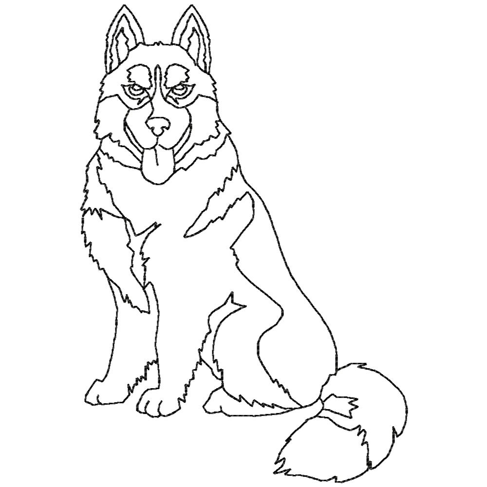 Woof from the North BW-16
