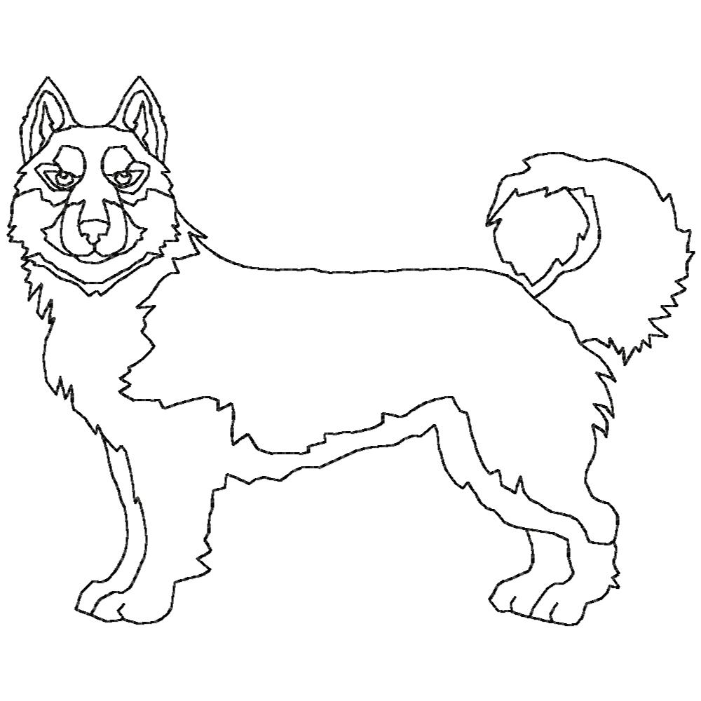 Woof from the North BW-17