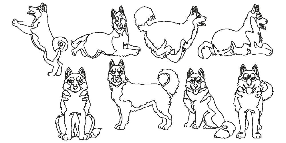 Woof from the North BW-19