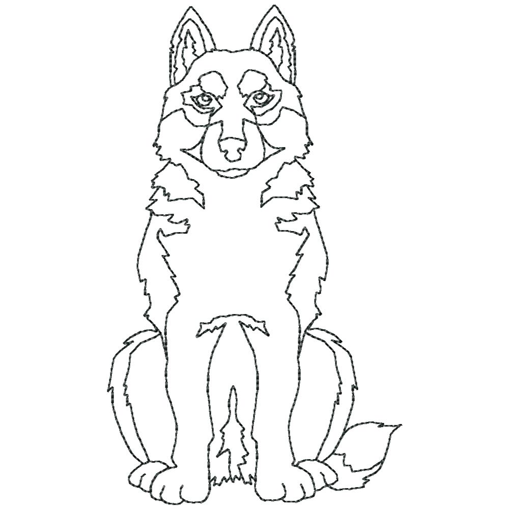 Woof from the North BW-20