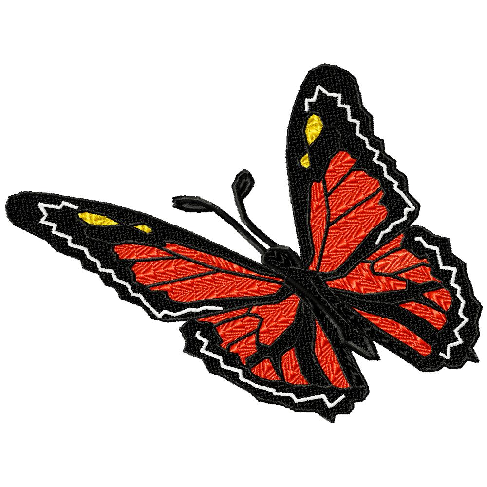 Flight of the Monarch Butterfly-8