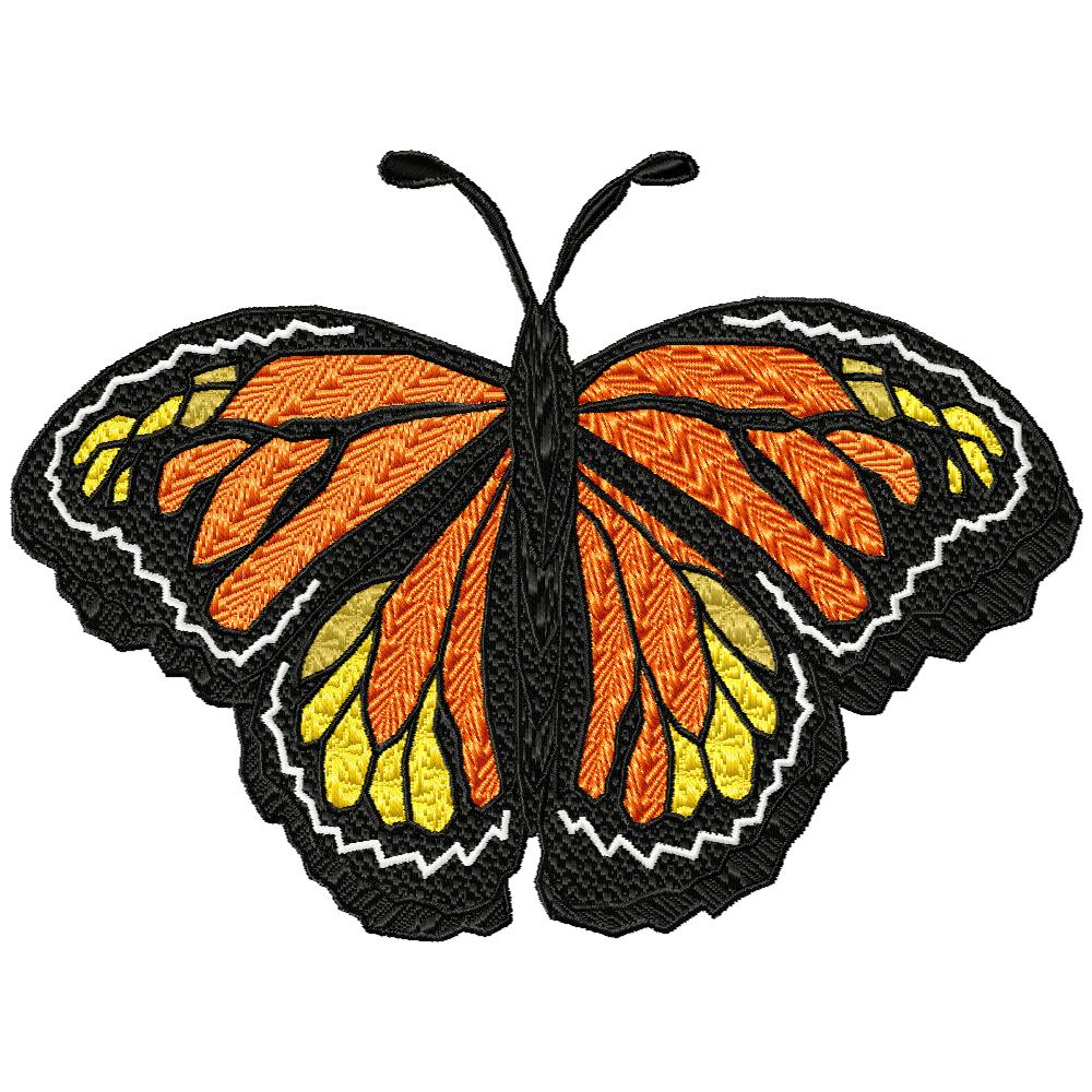 Flight of the Monarch Butterfly-9