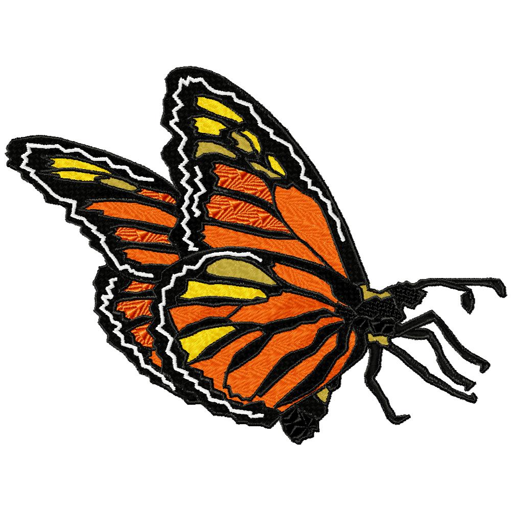 Flight of the Monarch Butterfly-12