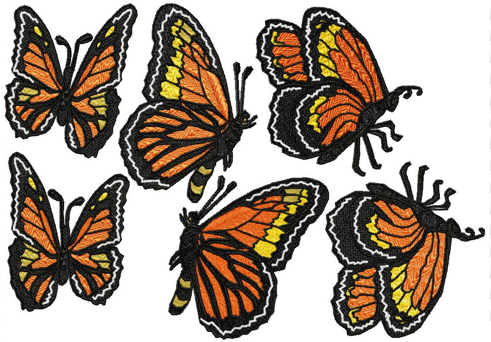 Flight of the Monarch Butterfly-13