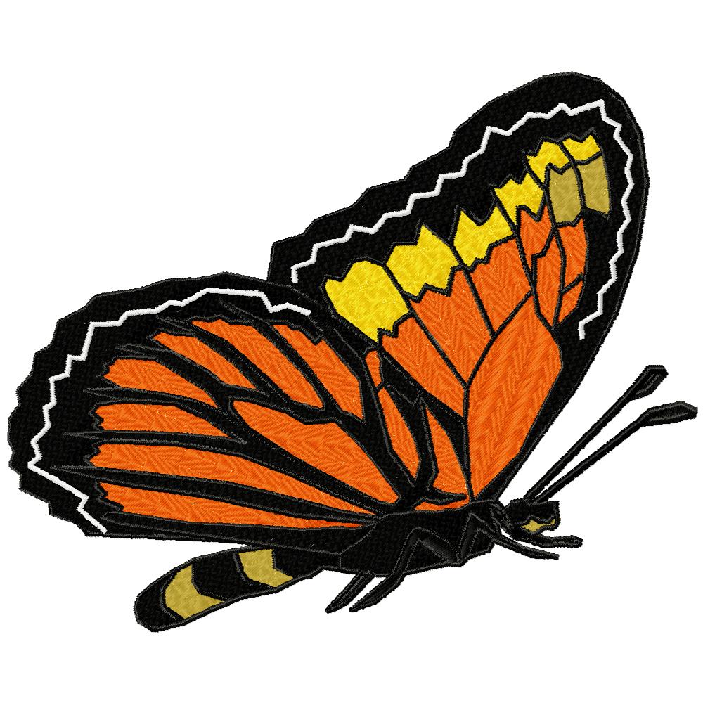 Flight of the Monarch Butterfly-15