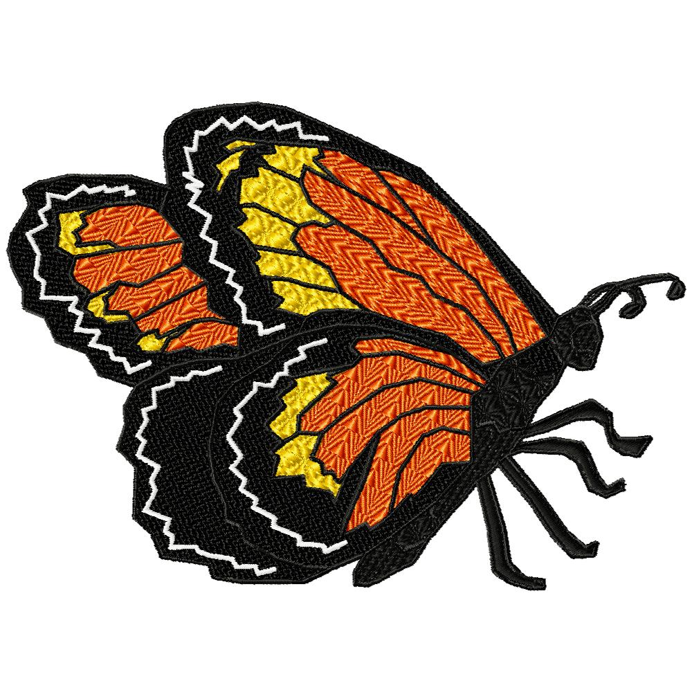 Flight of the Monarch Butterfly-16