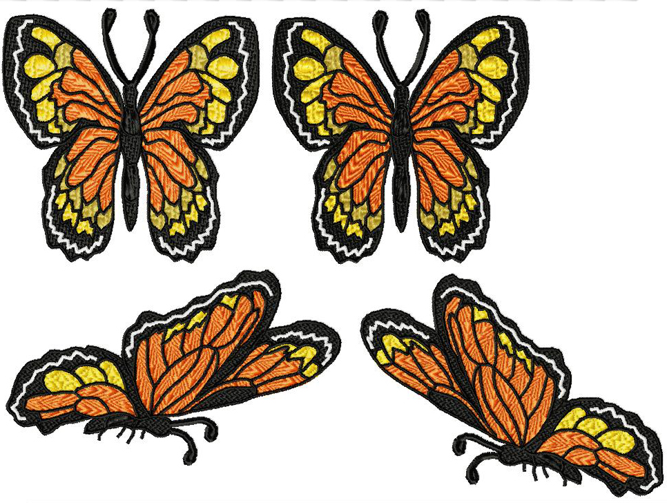 Flight of the Monarch Butterfly-17