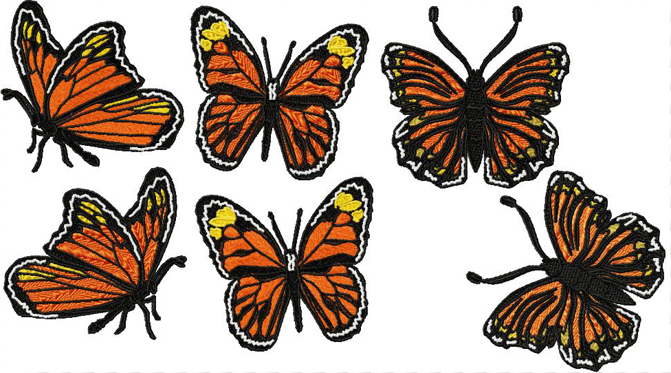 Flight of the Monarch Butterfly-20