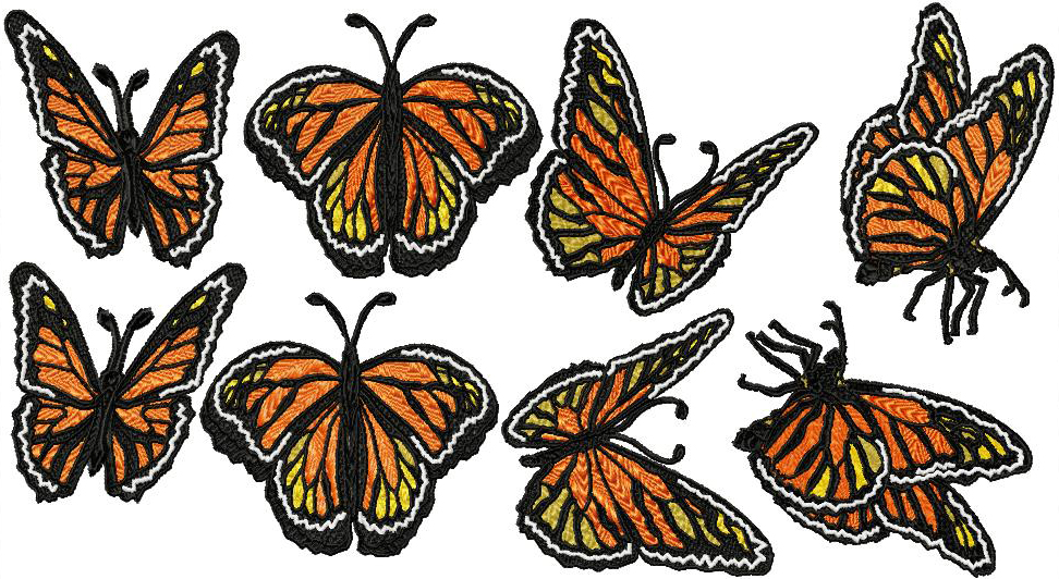 Flight of the Monarch Butterfly-21