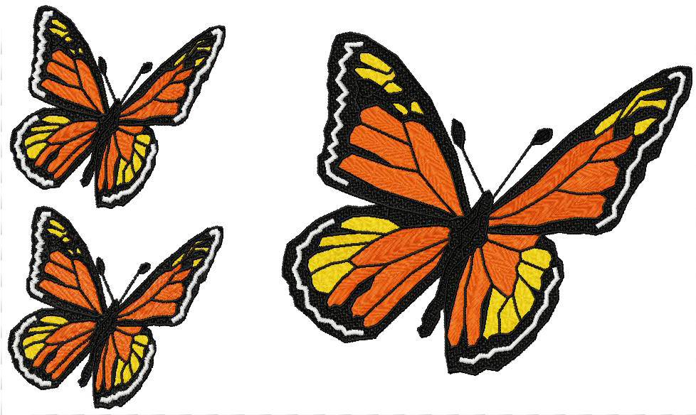 Flight of the Monarch Butterfly-28