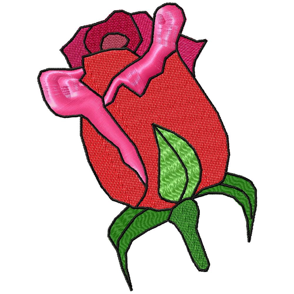 A Rose in Bloom-16