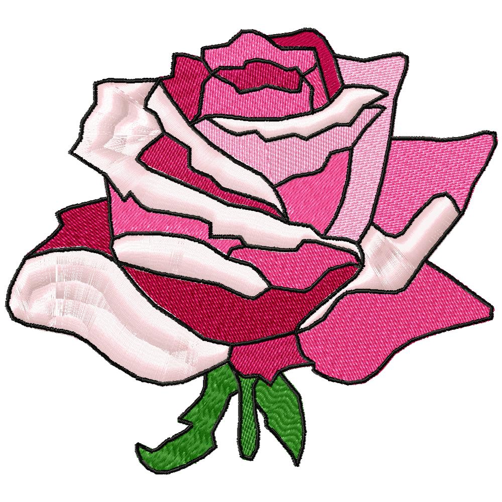 A Rose in Bloom-26