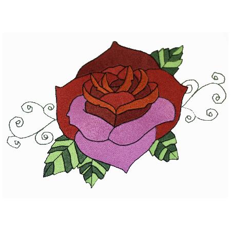 The Beauty of a Rose-6