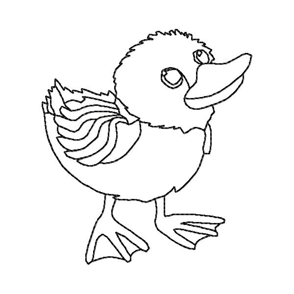 Little Yellow Duck BW -13