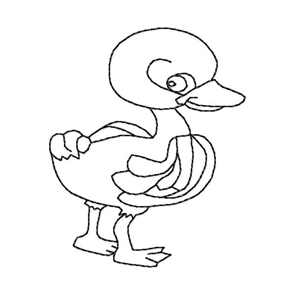 Little Yellow Duck BW -17