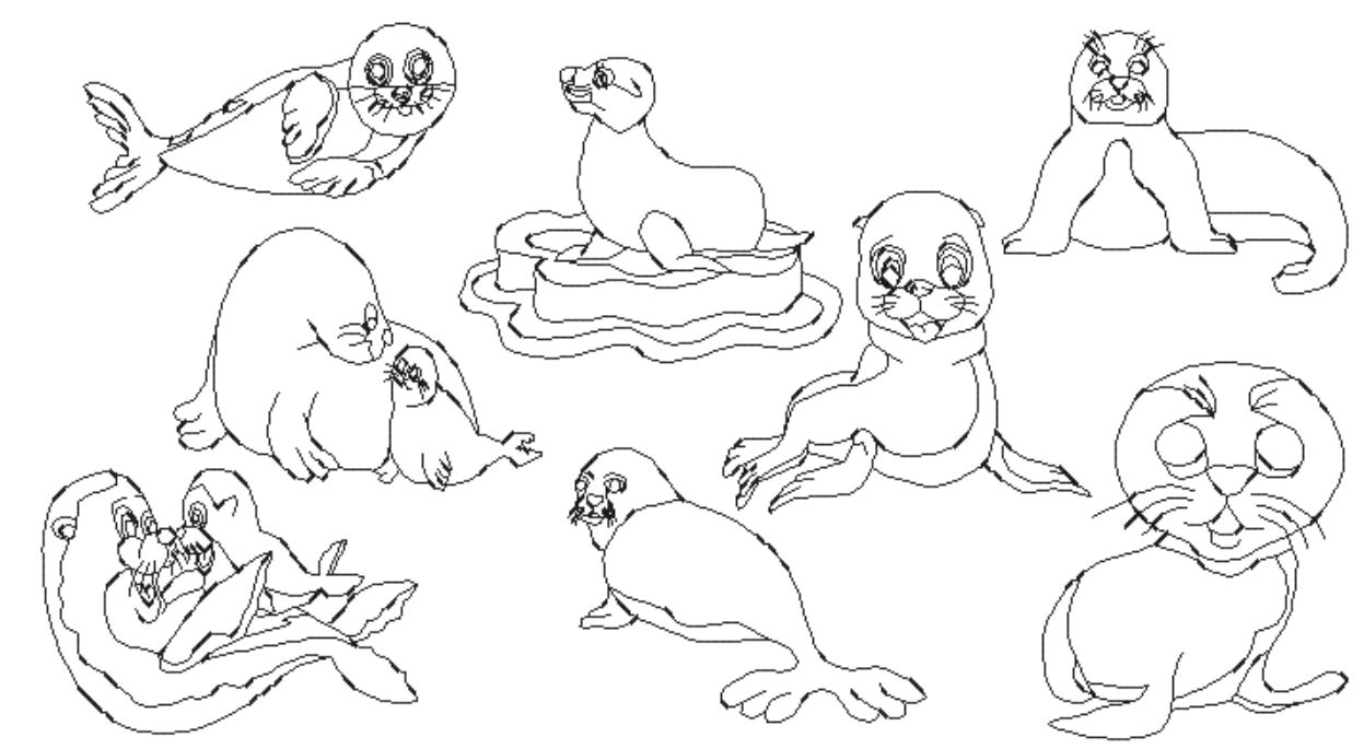 North Pole Nursery 02-Baby Seal-BW-20