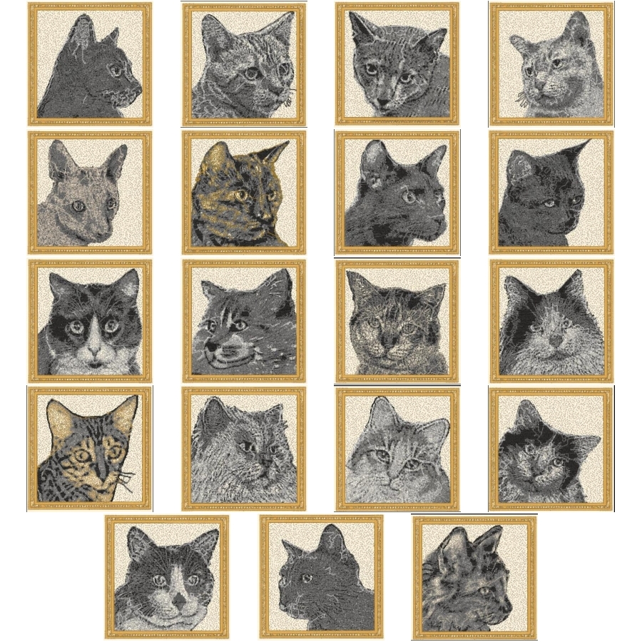 Here Kitty Kitty Kitty 4x4
