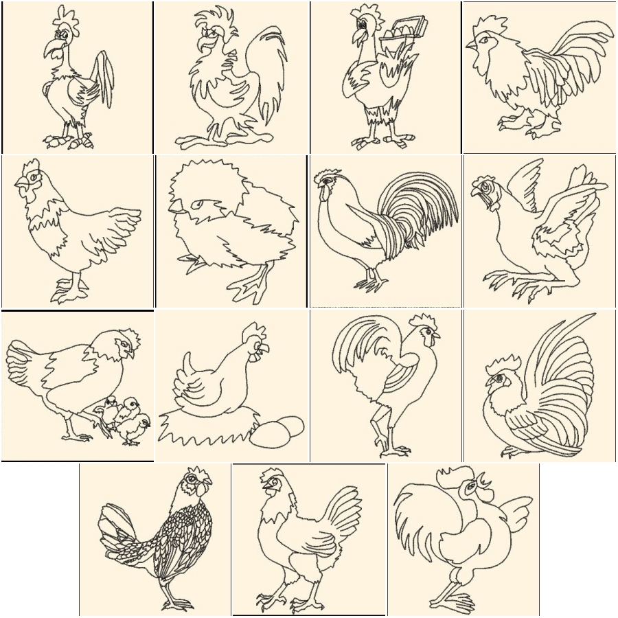 Here a Chicken There a- Chicken