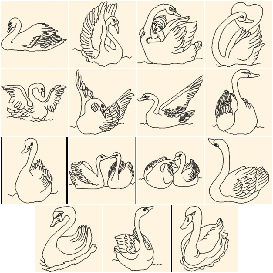 No Ugly Ducklings Here