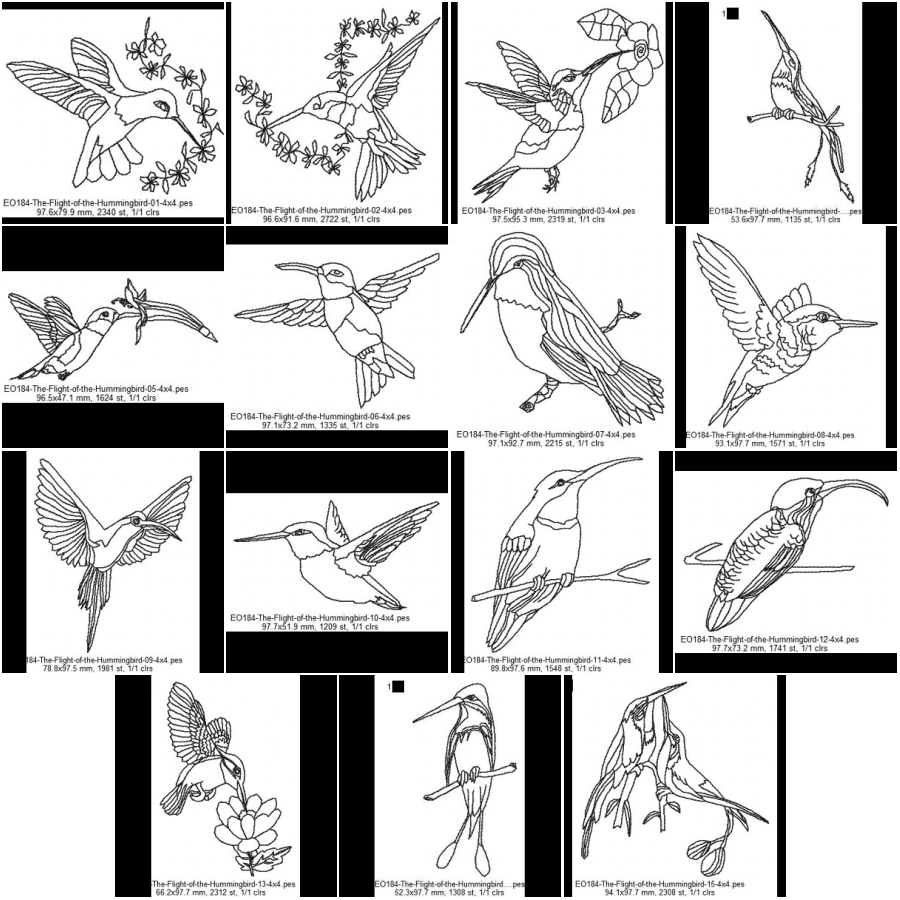 Flight of the Hummingbird