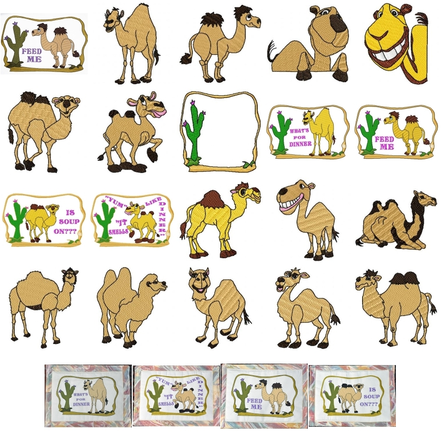 A Camel Invasion 