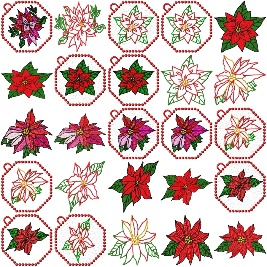 Poinsettias Galore