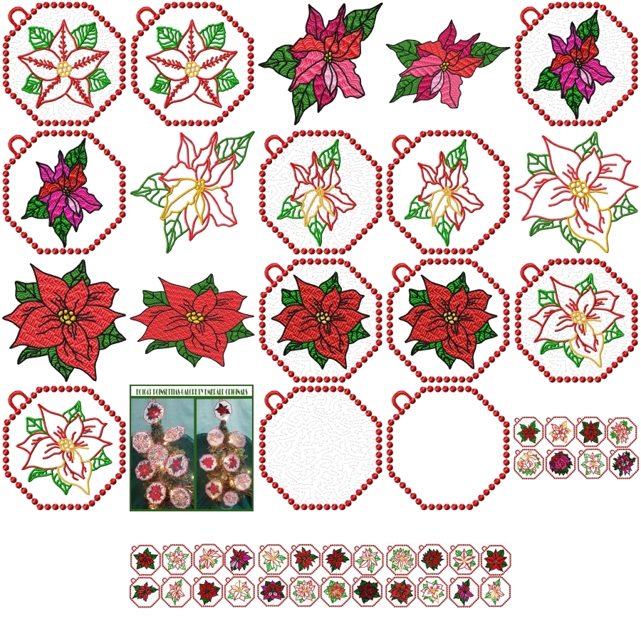 Poinsettias Galore
