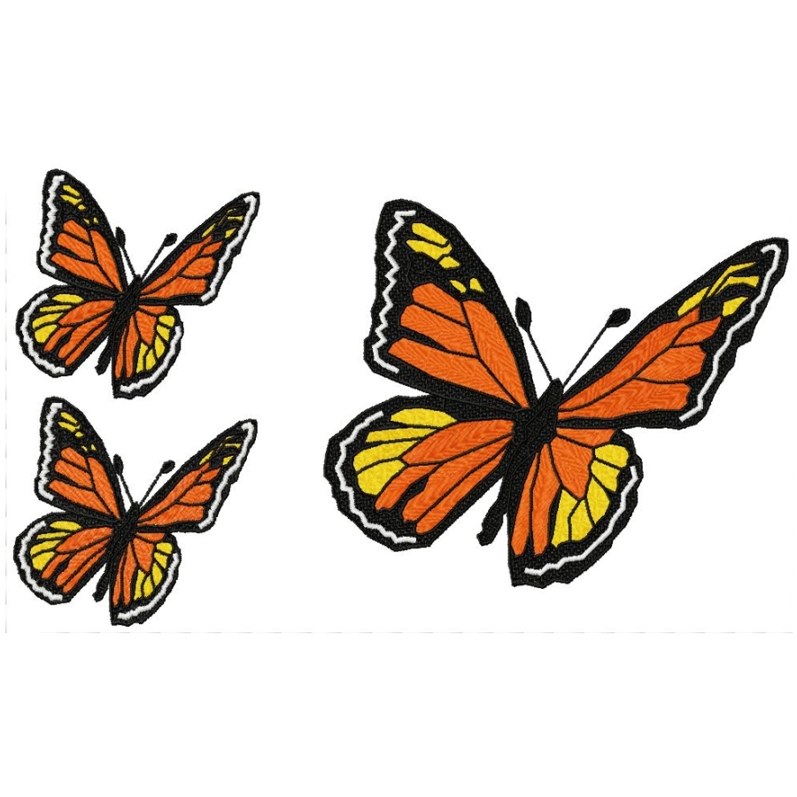 Flight of the Monarch Butterfly