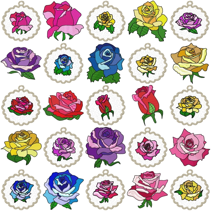 A Rose in Bloom
