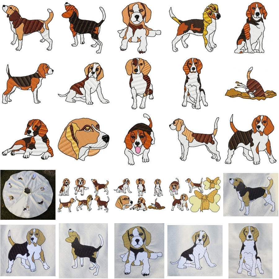 Baying_Beagles_F 