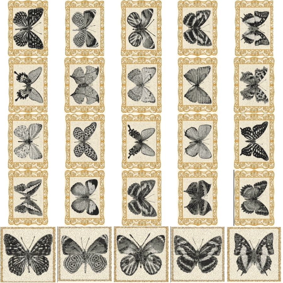 Tranquil Flight 2 - 4x4