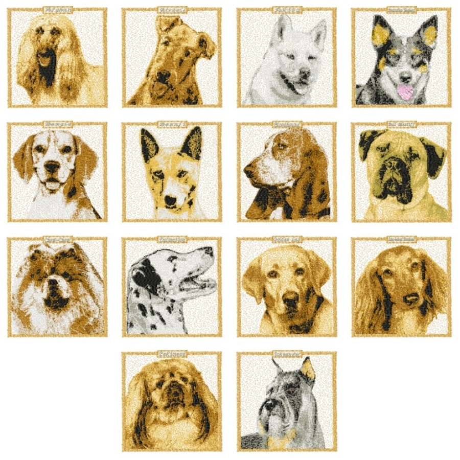 Photostitch Dogs 4x4