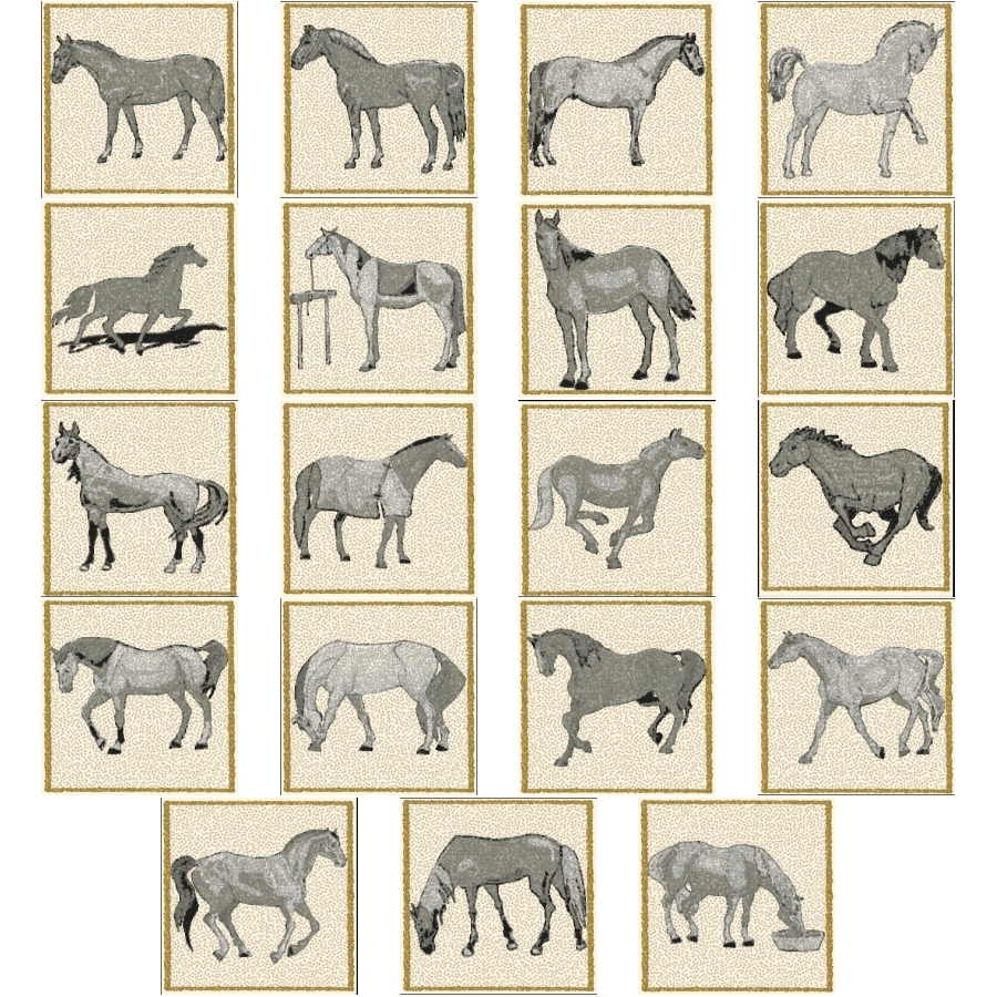 Graceful Equine 4x4