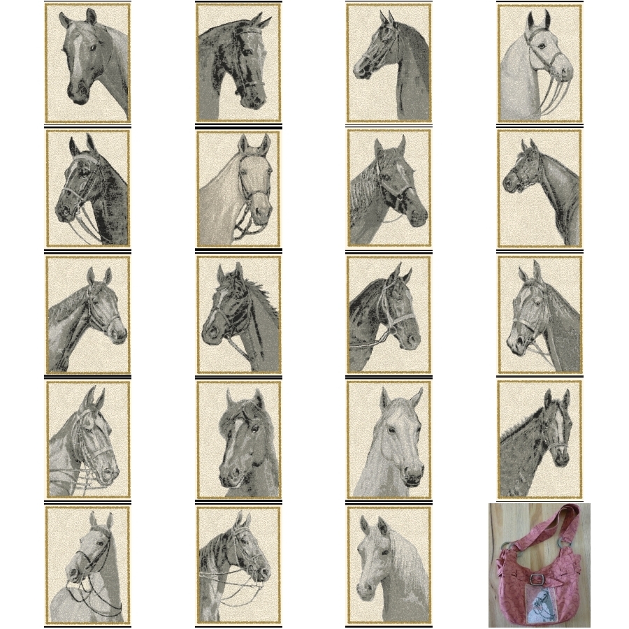 Graceful Equine 2