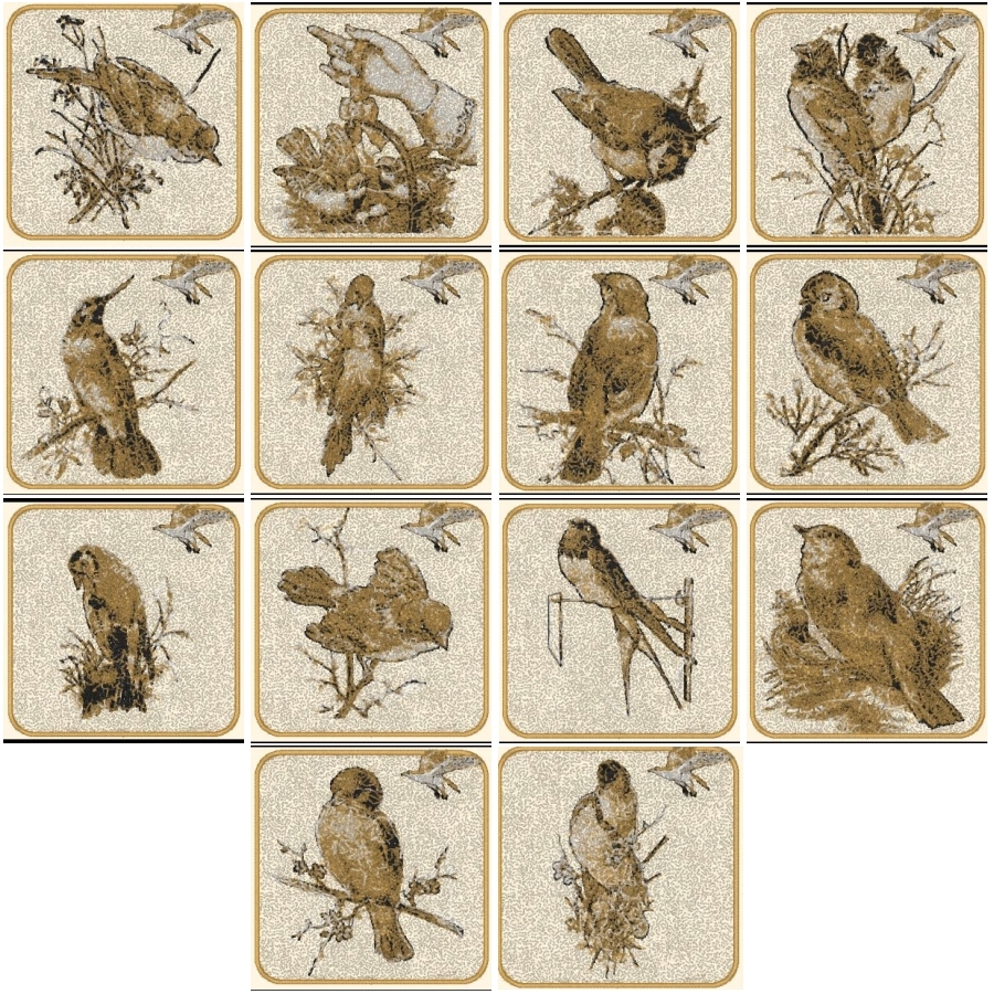 Birds of a Feather 4x4