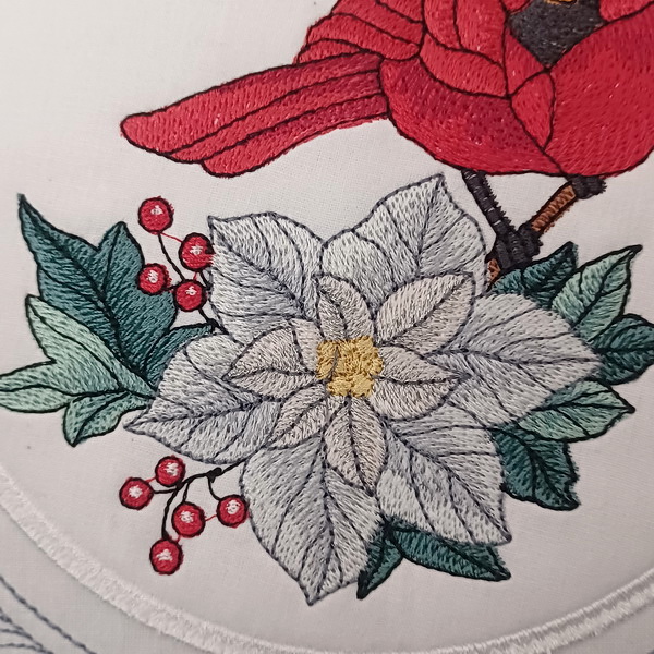 Winter Cardinal with White Poinsettia-8
